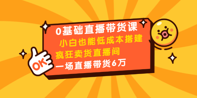 0基础直播带货课：小白也能低成本搭建疯狂卖货直播间：1场直播带货6万-第二象限