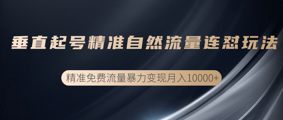 垂直起号精准自然流量连爆玩法，精准引流暴力变现月入10000+-第二象限