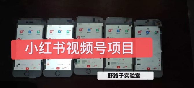 野路子小红书视频号1.0项目，直接上手操作就能赚钱的视频号项目-第二象限