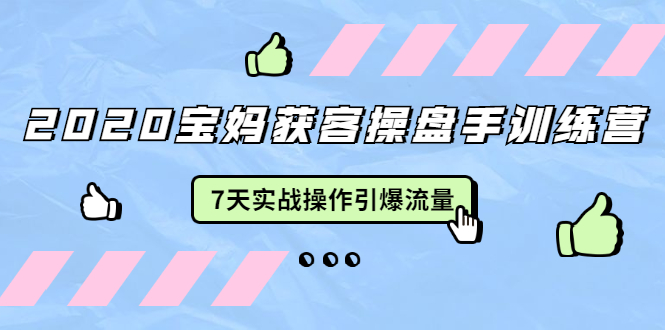 2020宝妈获客操盘手训练营：7天实战操作引爆 母婴、都市、购物宝妈流量-第二象限