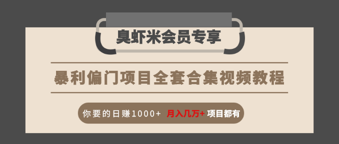 暴利偏门项目全套合集视频教程：你要的日赚1000+月入几万+项目都有-第二象限