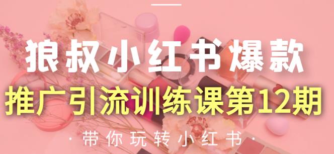 狼叔小红书爆款推广引流训练课第12期，手把手带你玩转小红书-第二象限