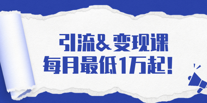 引流&变现课：分享一整套流量方法以及各个渠道收入，每月最低1万起！-第二象限