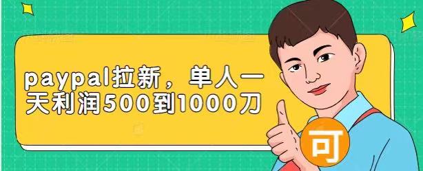 Paypal拉新赚美刀项目，单人一天利润500-1000刀【视频课程】-第二象限