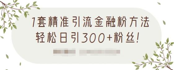 1套精准引流金融粉方法，轻松日引300+粉丝-第二象限