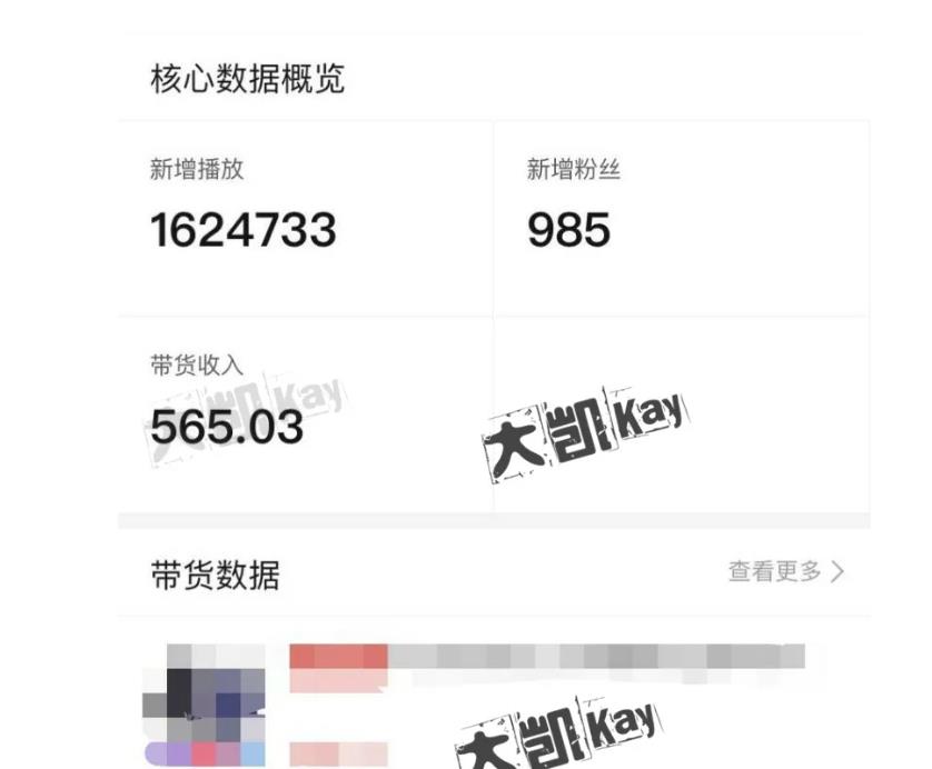 大凯进阶圈新玩法之拼多多视频玩法，利润大概一个号一天能有500~1500的左右!-第二象限