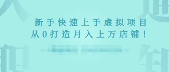 2022年虚拟项目实战指南，新手从0打造月入上万店铺-第二象限