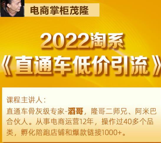 茂隆2022直通车低价引流玩法，教大家如何低投入高回报的直通车玩法-第二象限