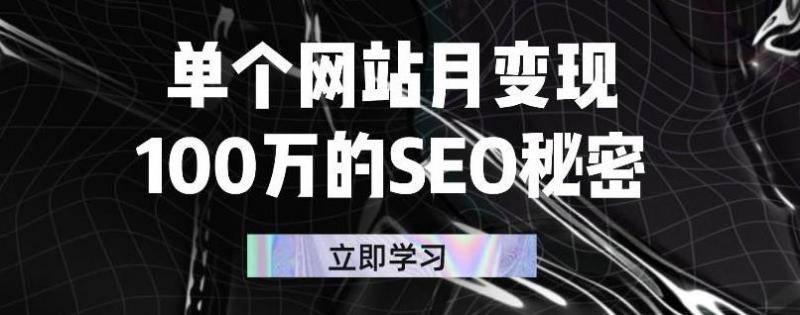 单个网站月变现100万的SEO秘密，百分百做出赚钱站点-第二象限