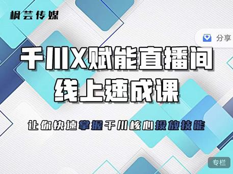 枫芸传媒-线上千川提升课，提升千川认知，提升千川投放效果-第二象限