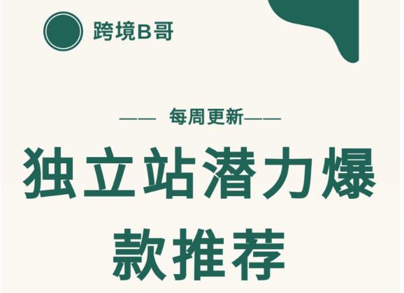 【跨境B哥】独立站潜力爆款选品推荐，测款出单率高达百分之80-第二象限