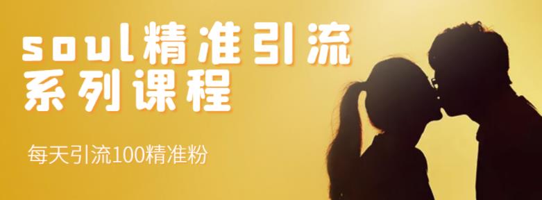 soul精准引流系列课程，每天引流100精准粉-第二象限