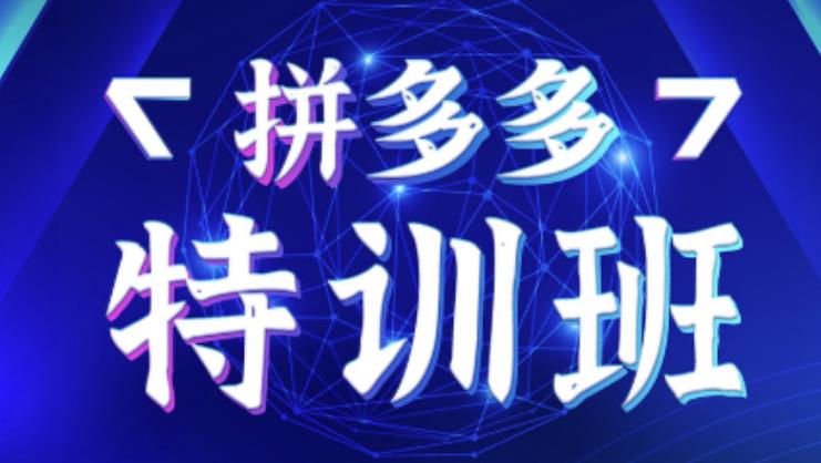 星雪教育·拼多多基础班+进阶班+突破班，用系统的学习模式快速改变现状价值3580元-第二象限