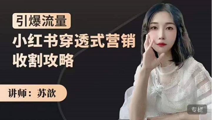 苏歆：小红书穿透式营销收割攻略，引爆流量，助你玩转小红书-第二象限