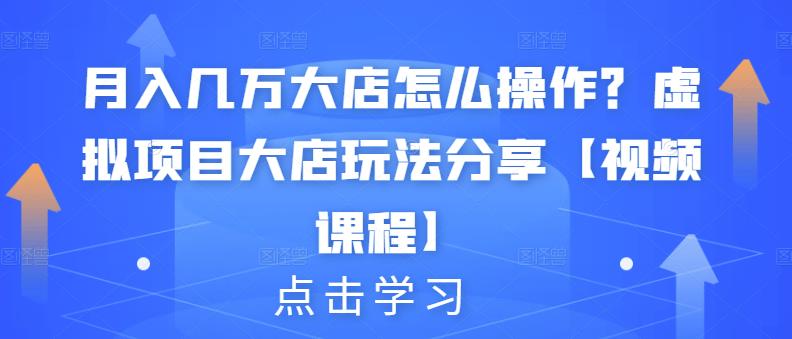 月入几万大店怎么操作？虚拟项目大店玩法分享【视频课程】-第二象限