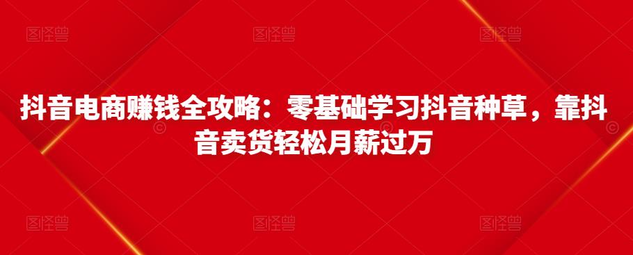 抖音电商赚钱全攻略：零基础学习抖音种草，靠抖音卖货轻松月薪过万-第二象限