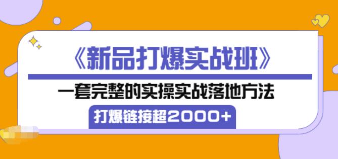 凌童《新品打爆实战班》,一套完整的实操实战落地方法，打爆链接超2000+（28节课)-第二象限