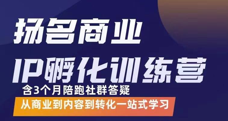 杨名商业IP孵化训练营，从商业到内容到转化一站式学 价值5980元-第二象限