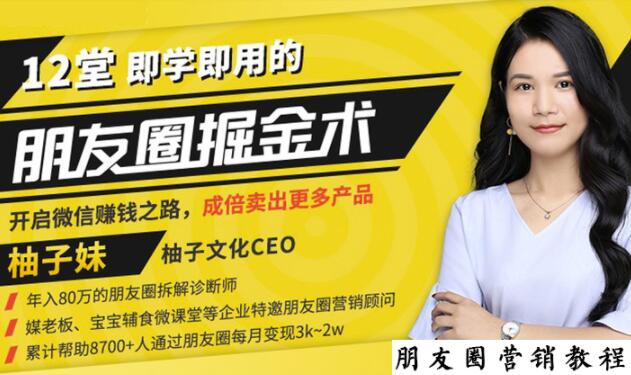 【营销必学】12堂学之即用的朋友圈掘金术：开启你的副业赚钱之路-第二象限