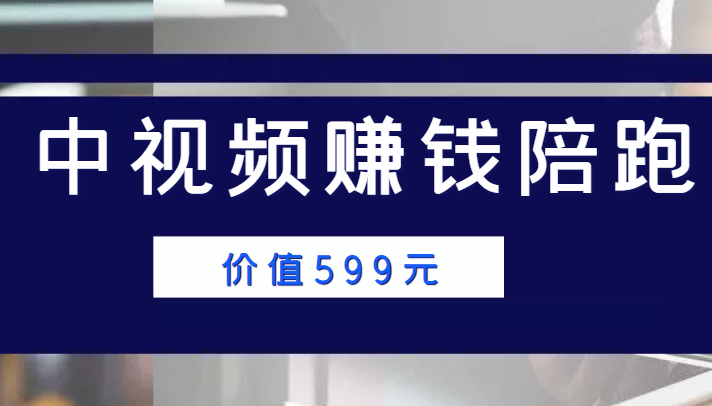 中视频赚钱陪跑，卖中视频账户赚钱收益陪跑项目（价值599元）-第二象限