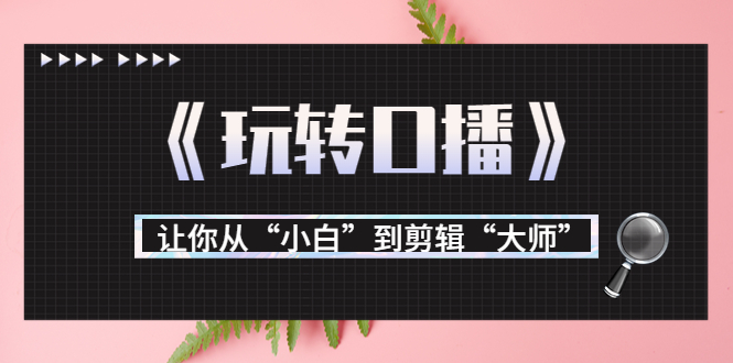 月营业额700万+大佬教您《玩转口播》让你从“小白”到剪辑“大师”-第二象限