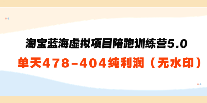 淘宝蓝海虚拟项目陪跑训练营5.0：单天478纯利润-第二象限