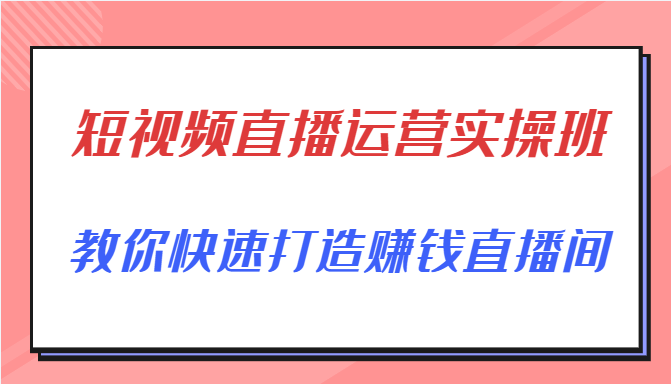 短视频直播运营实操班，直播带货精细化运营实操，教你快速打造赚钱直播间-第二象限