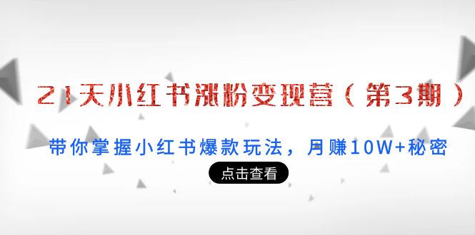 21天小红书涨粉变现营（第3期）：带你掌握小红书爆款玩法，月赚10W+秘密-第二象限