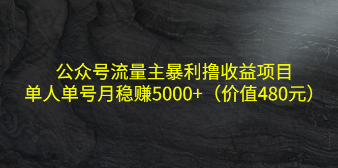 公众号流量主暴利撸收益项目，单人单号月稳赚5000+（价值480元）-第二象限