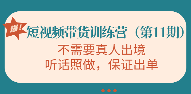 视频带货训练营，不需要真人出境，听话照做，保证出单（第11期）-第二象限