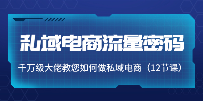 私域电商流量密码：千万级大佬教您如何做私域电商（12节课）-第二象限
