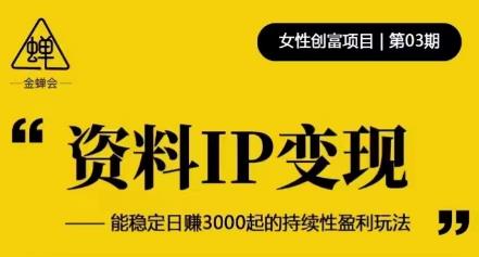 资料IP变现，能稳定日赚3000起的持续性盈利玩法-第二象限