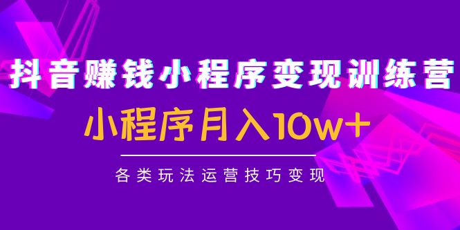 抖音赚钱小程序变现训练营：小程序月入10w+各类玩法运营技巧变现-第二象限