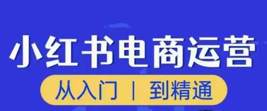 顽石小红书电商高阶运营课程，从入门到精通，玩法流程持续更新-第二象限