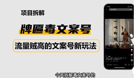 2023抖音快手毒文案新玩法，牌匾文案号，起号快易变现-第二象限