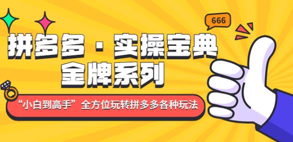 拼多多·实操宝典：金牌系列“小白到高手”带你全方位玩转拼多多各种玩法-第二象限