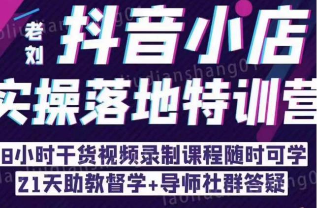 抖音小店实操落地特训营：抖音小店无货源精细化运营，抖店商品卡流量（22节）-第二象限