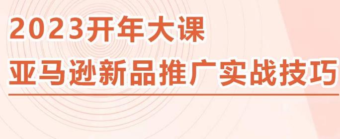 2023亚马逊新品推广实战技巧，线下百万美金课程的精简版，简单粗暴可复制，实操性强的推广手段-第二象限