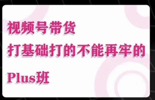 大播汇·视频号带货Puls班，视频号底层逻辑，起号自然流鱼塘等玩法-第二象限