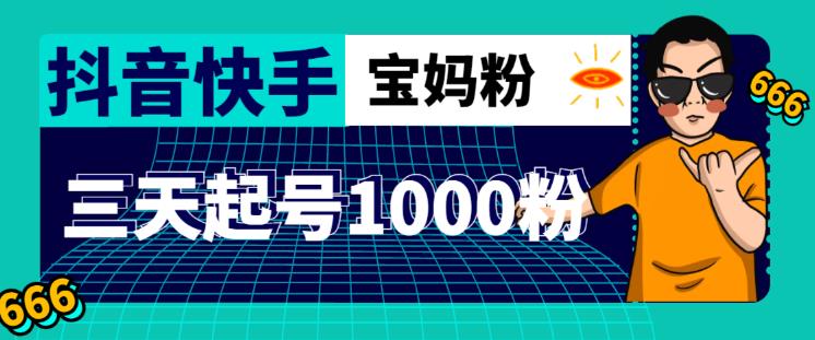 抖音快手三天起号涨粉1000宝妈粉丝的核心方法【详细玩法教程】-第二象限