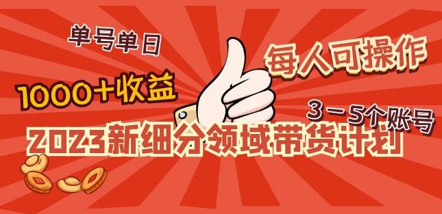 2023新细分领域带货计划：单号单日1000+收益不难，每人可操作3-5个账号-第二象限