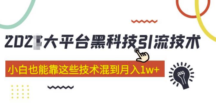 大平台黑科技引流技术，小白也能靠这些技术混到月入1w+(2022年的课程）-第二象限