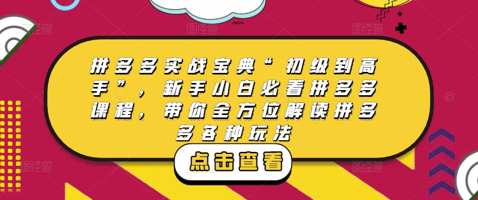 拼多多实战宝典“初级到高手”，新手小白必看拼多多课程，带你全方位解读拼多多各种玩法-第二象限