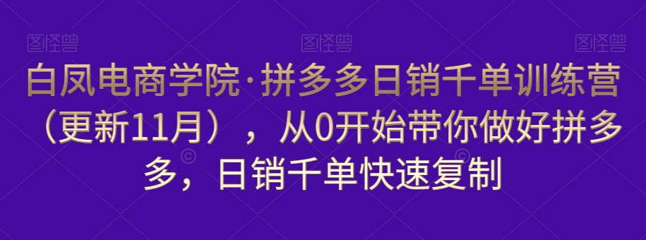 白凤电商学院·拼多多日销千单训练营，从0开始带你做好拼多多，日销千单快速复制（更新知2023年3月）-第二象限