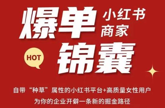 无畏·小红书商家爆单锦囊，掌握小红书各大规则，快速精准抢占行业和市场-第二象限