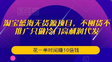 淘宝蓝海无货源项目，不囤货不推广只做冷门高利润代发，花一半时间赚10倍钱-第二象限