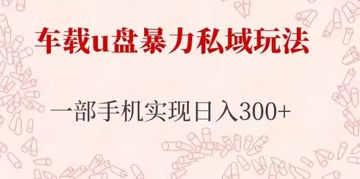 车载u盘暴力私域玩法，长期项目，仅需一部手机实现日入300+-第二象限
