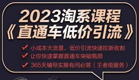 2023直通车低价引流玩法课程，小成本大流量，低价引流快速拉新收割，让你快速掌握直通车突破瓶颈-第二象限
