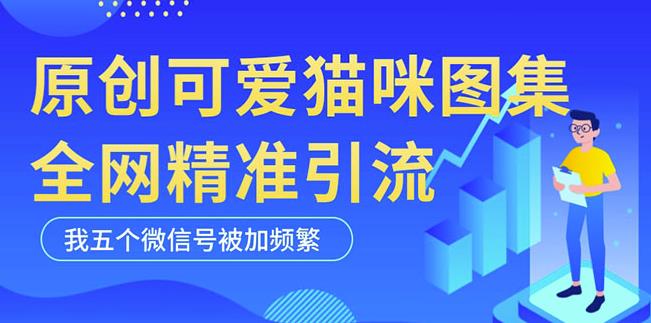 黑科技纯原创可爱猫咪图片，全网精准引流，实操5个VX号被加频繁-第二象限