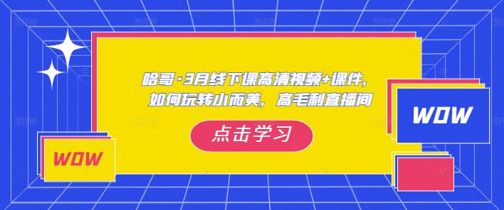 哈哥·3月线下实操课高清视频+课件，如何玩转小而美，高毛利直播间-第二象限